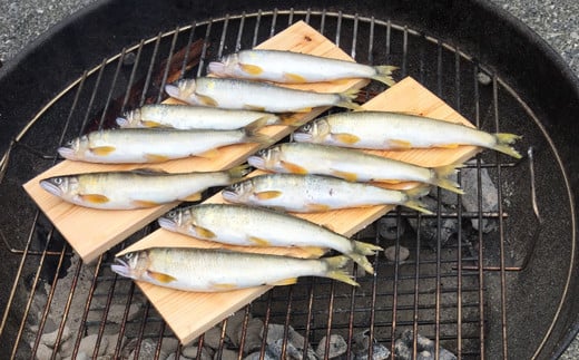 【ふるさと納税限定品】松田川産天然アユ800g高知県宿毛市20000魚介・海産物鮮魚