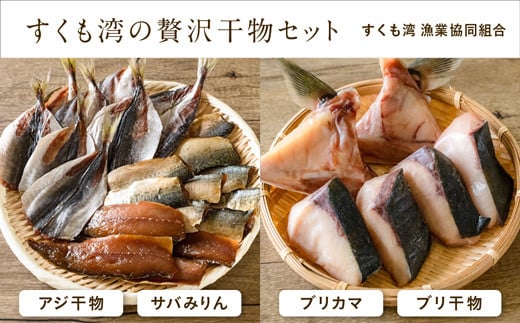 すくも湾の贅沢干物セット高知県宿毛市12000魚介・海産物鮮魚