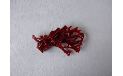 C̔XFuKmhюs600000ߗށEiEH|ȋ iEH|i