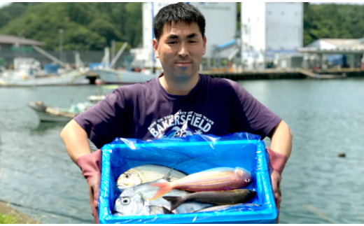 新鮮土佐魚の詰合せセットA高知県宿毛市10000魚介・海産物鮮魚