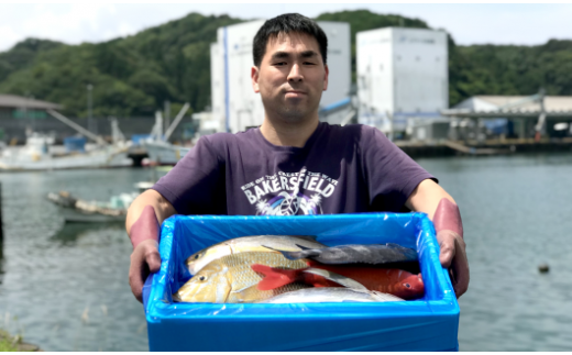 新鮮土佐魚の詰合せセットB高知県宿毛市15000魚介・海産物鮮魚