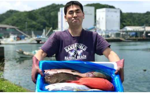 新鮮土佐魚の詰合せセットC高知県宿毛市20000魚介・海産物鮮魚