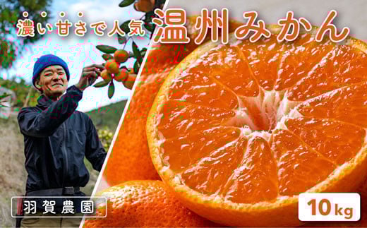 H_ B ݂ 10kg ݂ ~J  k ʕ t[c ʎ k Â _ r^~C Yi Yi Yn _ p 蕨 Mtg H ~ { G hюs msm