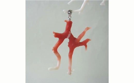 XElق̎Xy_g91mhюs18000ߗށEiEH|iANZT[