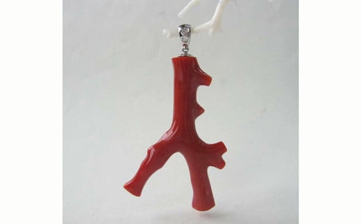 XElق̎Xy_g60mhюs528000ߗށEiEH|iANZT[