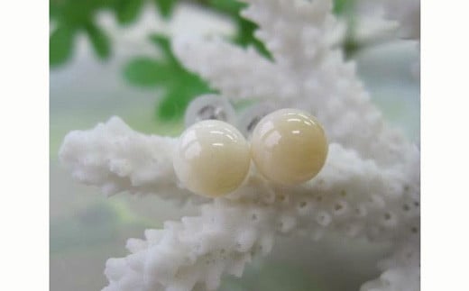 珊瑚職人館の珊瑚ピアス39高知県宿毛市60000衣類・装飾品・工芸品アクセサリー