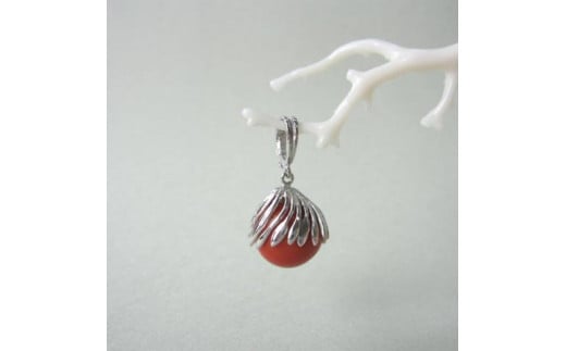 XElق̎Xy_g126mhюs300000ߗށEiEH|iANZT[