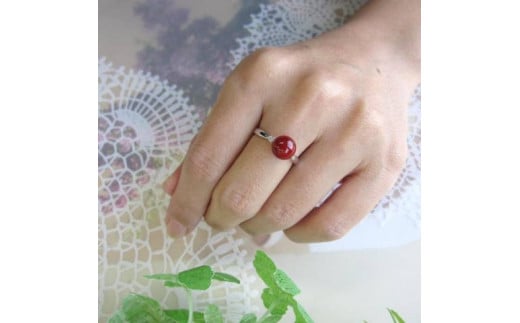 XElق̎X̎w48mhюs792000ߗށEiEH|iANZT[