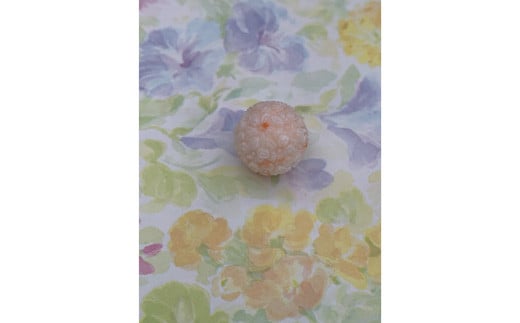 海の秘宝珊瑚:彫り玉A高知県宿毛市120000衣類・装飾品・工芸品アクセサリー