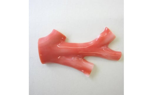 珊瑚職人館の珊瑚のルース(p16)高知県宿毛市60000衣類・装飾品・工芸品アクセサリー