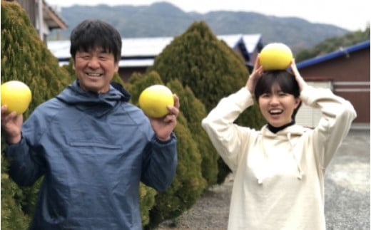 彩り柑橘園の土佐文旦贈答用10kg高知県宿毛市30000果物・フルーツみかん・柑橘類