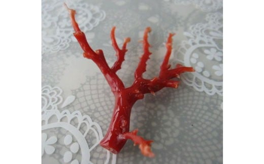 XElق̎X̃[Xip45jmhюs240000ߗށEiEH|iANZT[