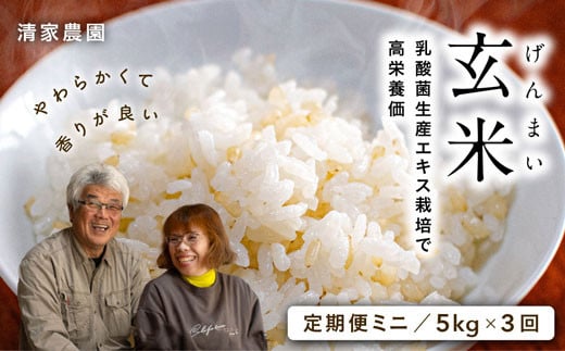 【定期便ミニ】酵素が3.9倍!「乳酸菌生産エキス栽培」玄米5kg×3回お届け【特別栽培・農薬不使用】高知県宿毛市30000米・パン白米