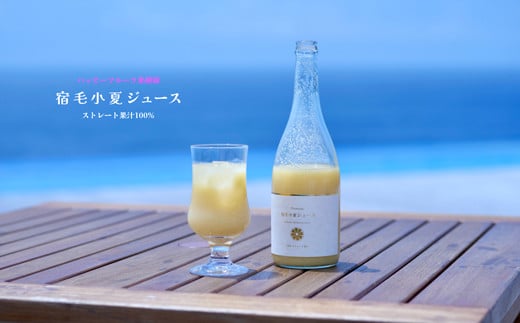 ハッピーフルーツ果樹園の宿毛小夏ジュース(化粧箱入り)2本セット高知県宿毛市17000果物・フルーツみかん・柑橘類