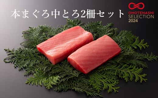 本まぐろ中とろ2柵セット高知県宿毛市21000魚介・海産物鮮魚