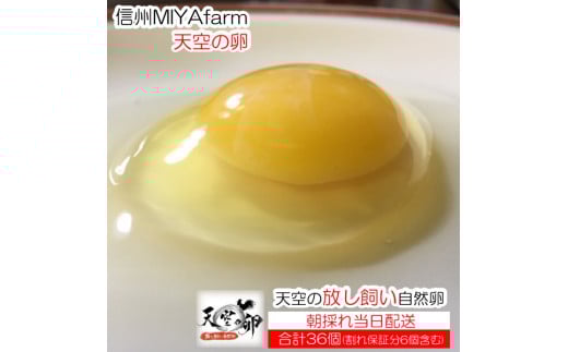 yӂ邳Ɣ[Łz381MBMIYAFARM@uV̗vVN؂HׂĈR@30iۏؕ6t@v36j쌧쑺10000Eii{AG{j