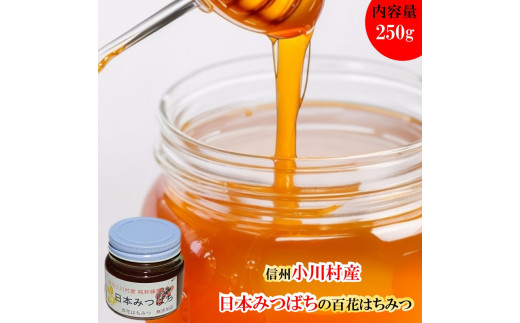 254*日本みつばち 百花はちみつ250g長野県小川村12000鍋セット・総菜・加工食品ジャム・はちみつ