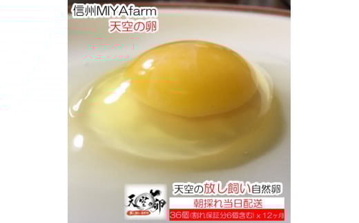 382MBMIYAFARM@uV̗vVN؂HׂĈR@6֒쌧쑺58000Eii{AG{j