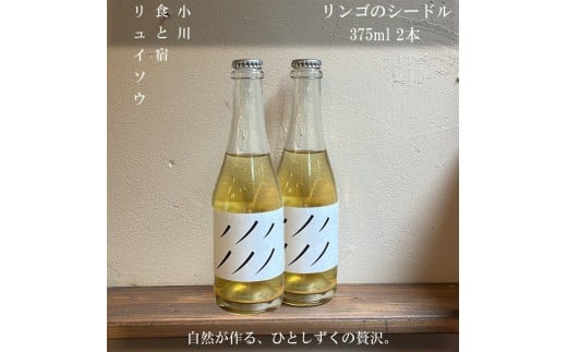 269*リンゴのシードル2本セット長野県小川村15000酒・アルコールワイン