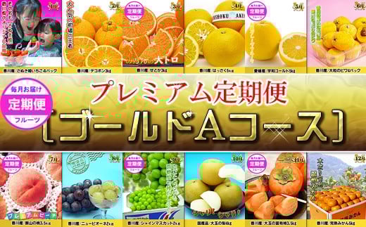 《ゴールドコースA》産直あきんど厳選フルーツ!魅惑の12回便香川県坂出市240000果物・フルーツその他 果物・フルーツ