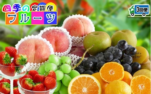 y3zn100N YǎlG̃t[c̒ցs3Ał͂t쌧os44000ʕEt[c̑ ʕEt[c