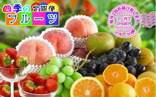 【定期便6回】創業100年 産直あきんど四季のフルーツの定期便《月2回×3ヶ月連続でお届け》香川県坂出市87000果物・フルーツその他 果物・フルーツ