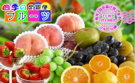 【定期便14回】創業100年 産直あきんど四季のフルーツの定期便《月2回×7ヶ月連続でお届け》香川県坂出市202000果物・フルーツその他 果物・フルーツ