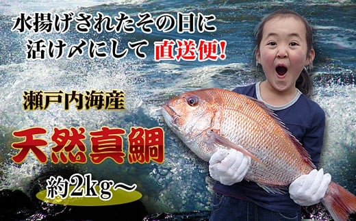 yMtgpz[]ᐣ˓CY⒩1ԐgꂽVR^𒼑v܂BmTCYn쌧os30000ECYN