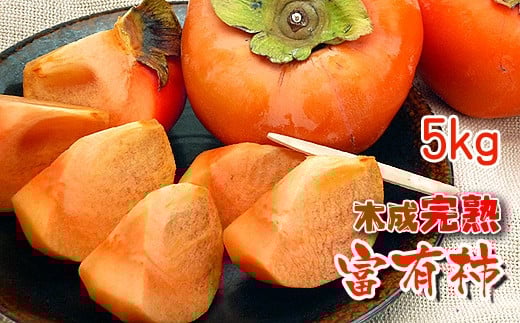 一度は食べたい香川産の完熟富有柿の詰め合わせ約5kg香川県坂出市12000果物・フルーツその他 果物・フルーツ