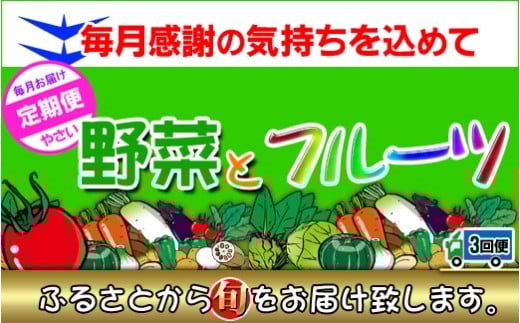 〈定期便3回〉創業100年!老舗の八百屋がチョイスした厳選やさいと旬の果物の詰め合わせ香川県坂出市36000野菜・きのこその他 野菜