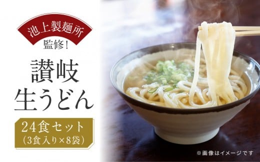 讃岐生うどん24食入(1袋3食入×8袋)*鎌田醤油だし醤油付*池上製麺所監修!|うどん 生麺香川県坂出市18000麺うどん