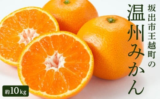坂出市王越町の温州みかん 10kg(約5kg×2箱)香川県坂出市18000果物・フルーツみかん・柑橘類