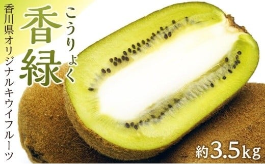 香緑(こうりょく)キウイフルーツ 約3.5kg香川県坂出市17000果物・フルーツその他 果物・フルーツ