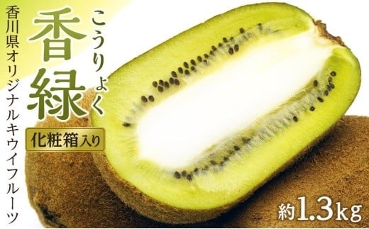 香緑(こうりょく)キウイフルーツ 約1.3kg化粧箱入り香川県坂出市16000果物・フルーツその他 果物・フルーツ