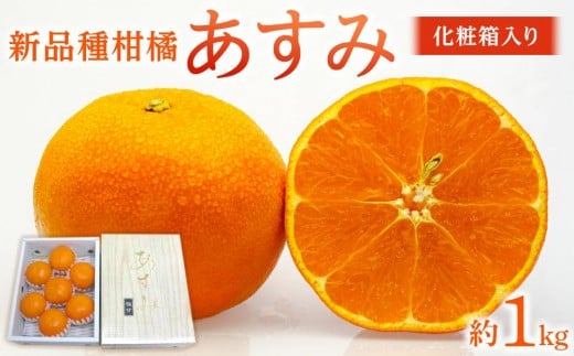 新品種柑橘「あすみ」約1kg 化粧箱入り香川県坂出市12000果物・フルーツみかん・柑橘類