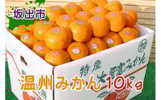 ≪先行受注≫温州みかん 香川産 約10kg ( S 〜 Lサイズ ) | みかん 味濃い香川県坂出市17000果物・フルーツみかん・柑橘類