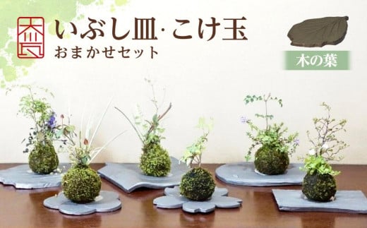 いぶし皿(木の葉)・こけ玉おまかせ セット香川県坂出市17000衣類・装飾品・工芸品その他 装飾品・工芸品