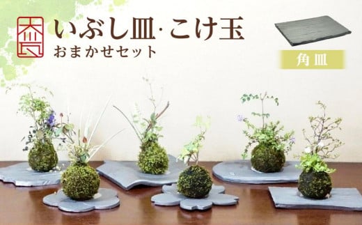 いぶし皿(角皿)・こけ玉おまかせ セット香川県坂出市17000衣類・装飾品・工芸品その他 装飾品・工芸品