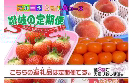 【定期便3回Aコース】 フルーツ セット 定期便 ( いちご 約250g × 4パック & 桃 約2kg & みかん 約5kg × 3ヶ月 )  |産直あきんど 坂出産 創業100年香川県坂出市36000果物・フルーツその他 果物・フ