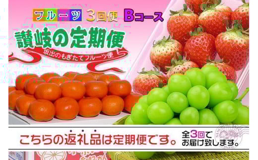 【定期便3回Bコース】 フルーツ セット 定期便 ( いちご 約250g × 4パック & シャインマスカット 1房 約600g以上 & みかん 約5kg × 3ヶ月 ) |産直あきんど 坂出産 創業100年香川県坂出市36000果物・