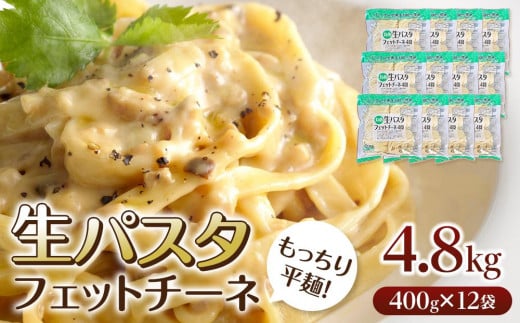 生パスタ フェットチーネ 4.8kg 48食分 ( 400g × 12袋 )| 生麺香川県坂出市10000麺パスタ
