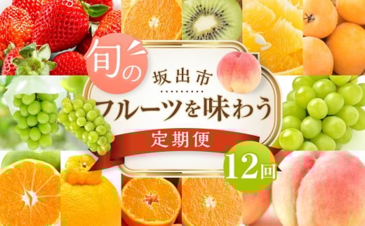 坂出市「旬のフルーツを味わう12回」定期便香川県坂出市144000果物・フルーツその他 果物・フルーツ