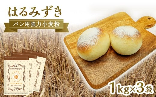 パン用 強力小麦粉「はるみずき」1kg×3袋香川県坂出市14000鍋セット・総菜・加工食品その他 鍋セット・総菜・加工食品