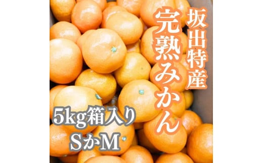 坂出特産みかん 約5kg入り(SまたはMサイズ)香川県坂出市12000果物・フルーツみかん・柑橘類