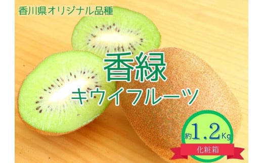 <先行受付 2025年発送>香緑 キウイフルーツ 約1.2kg(化粧箱)香川県坂出市18000果物・フルーツその他 果物・フルーツ