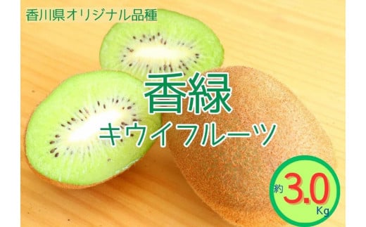 <先行受付 2025年発送>香緑 キウイフルーツ 約3.0kg香川県坂出市18000果物・フルーツその他 果物・フルーツ