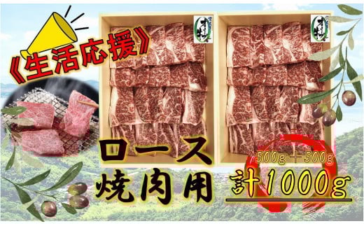 《生活応援》オリーブ牛ロース焼肉用 1000g(500g×2P)香川県坂出市48000肉牛肉