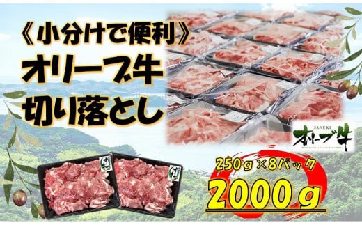 sEtI[u؂藎Ƃ2000쌧os45000