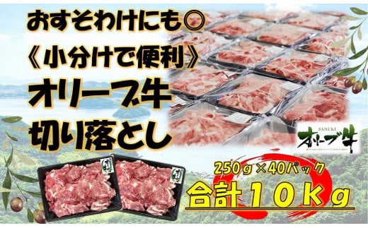 《おすそわけにも・小分け・大容量》オリーブ牛切り落とし10kg香川県坂出市224000肉牛肉