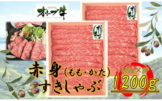 I[u@Ԑgԗp@1200쌧os48000